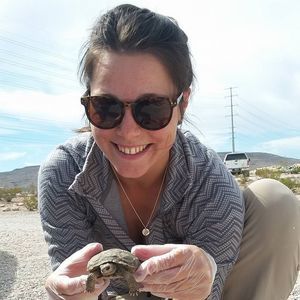 Meet your Posher, Kendall